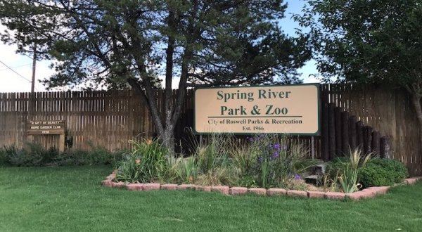 New Mexico’s Spring River Zoo Is An Adorable Summer Destination For The Entire Family