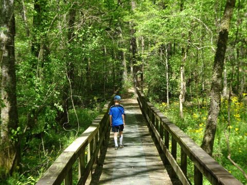 Blackland Prairie Trail Boardwalk In Mississippi Leads To One Of The Most Scenic Views In The State