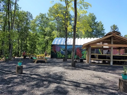 Dine In The Middle Of An Enchanted Forest At Tap Shack, A Jerk Chicken Restaurant In Wisconsin