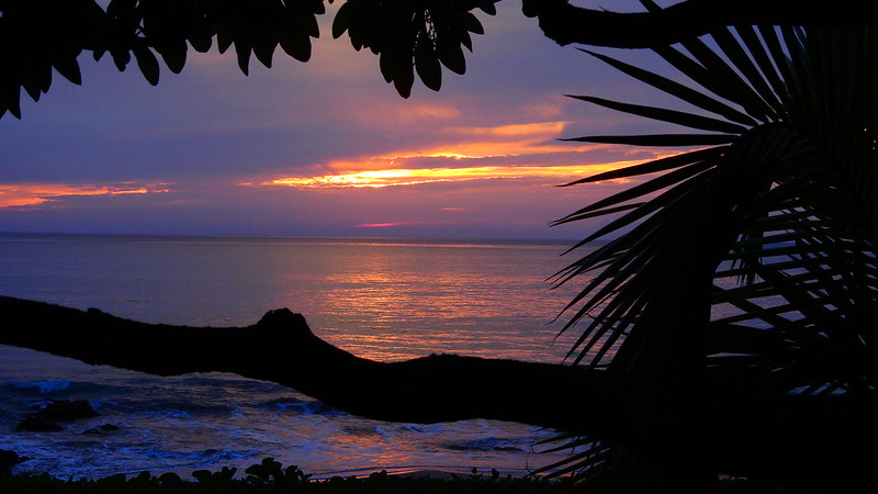Hawaii banner image