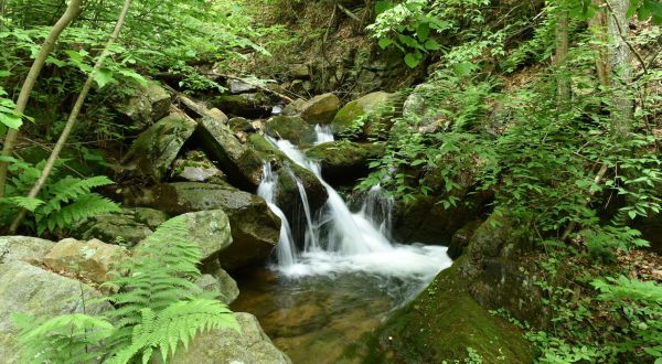 Visit Tom Lowe Trail, Home To Pennsylvania’s Beautiful Emerald Waterfall