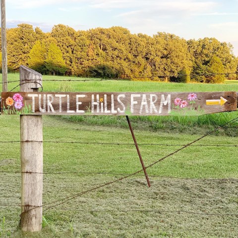 You Can Cut Your Own Flowers At The Festive Turtle Hills Farm In Missouri