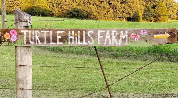 You Can Cut Your Own Flowers At The Festive Turtle Hills Farm In Missouri