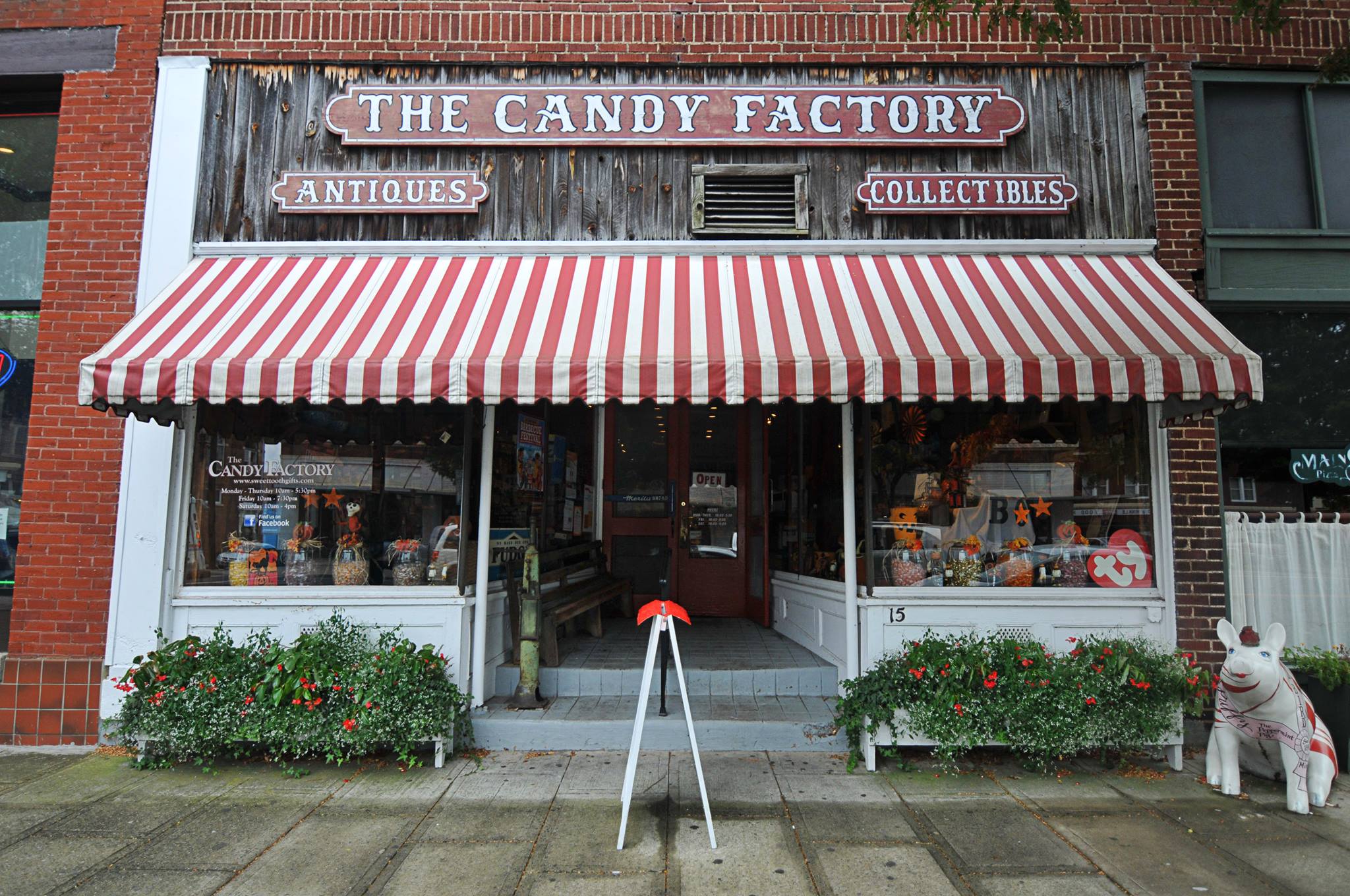 Candy Store Front Window