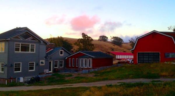 Take A Guided Tour Of A Farmstead Creamery Home To Goats And Sheep At Toluma Farms In Northern California