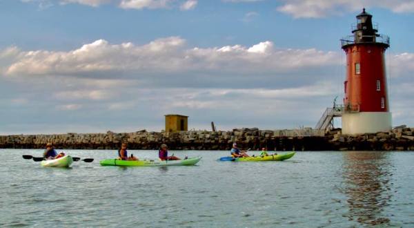 Paddle The Bay With Dolphins When You Embark On A Delaware Kayak Adventure