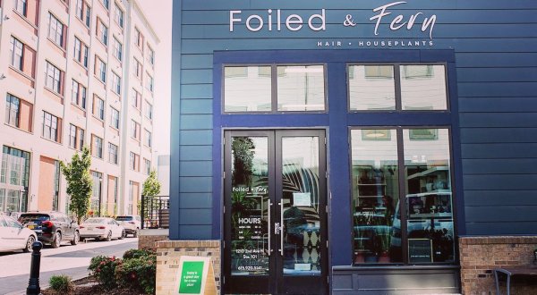 Plant Lovers Will Adore Downtown Nashville’s Newest Plant And Decor Shop, Foiled & Fern