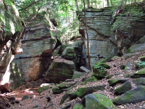 7 Incredible Natural Wonders In Ohio That You Can Witness For Free