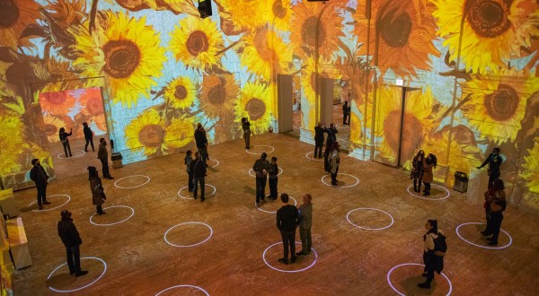 Step Into A Life-Size Painting At The Immersive Van Gogh Experience Coming To Ohio In 2021