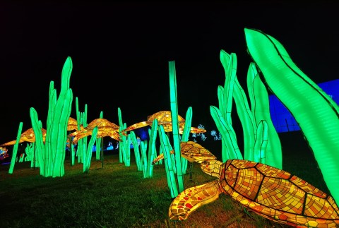 One Of The Largest Lantern Festivals In The Country, Wild Lights At Louisville Zoo Is Absolutely Magical