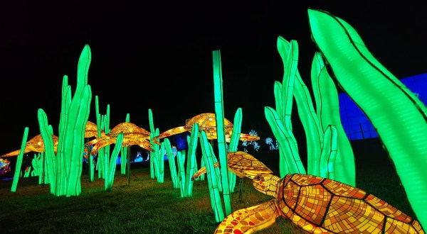 One Of The Largest Lantern Festivals In The Country, Wild Lights At Louisville Zoo Is Absolutely Magical
