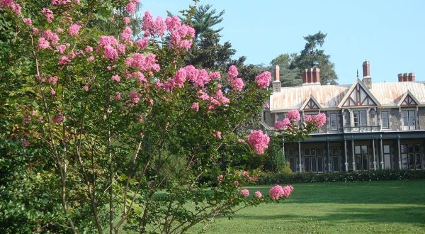 Tour The Gorgeous Rockwood Mansion And Estate To Learn About This Historic Delaware Garden