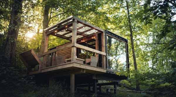 Sleep Among Towering Trees At The Forest Haven Otium In Ohio