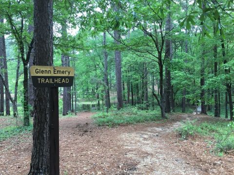 You'll Love The Serenity And Solitude Strolling Through The Glenn Emery Trail In Louisiana