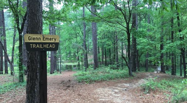 You’ll Love The Serenity And Solitude Strolling Through The Glenn Emery Trail In Louisiana