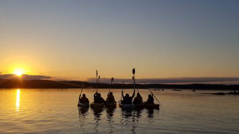Take A Sunset Paddle Tour With Black Hall Outfitters For An Unforgettable Connecticut Adventure