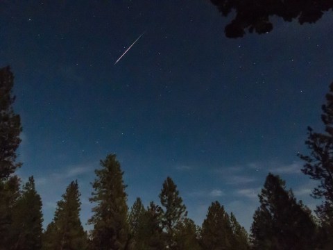 This Year, The Lyrids Meteor Shower Above Colorado Will Peak On Earth Day In A Celestial Celebration