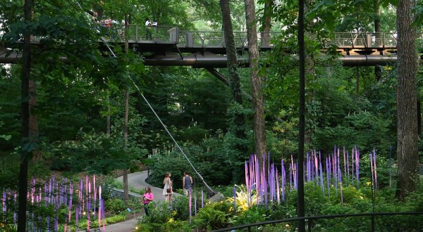 Experience The Georgia Forest From A New Perspective On The Canopy Walk At Atlanta Botanical Garden