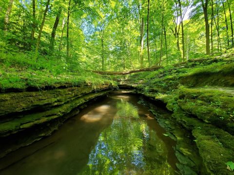 There’s An Emerald Waterfall Hiding Near Pittsburgh That’s Too Beautiful For Words