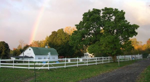 For Just About $130 A Night, You Can Stay In A Farmhouse At Maple View Farm In Connecticut