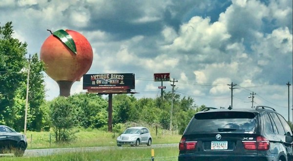 This Bizarre Roadside Attraction In South Carolina Will Turn Your Head