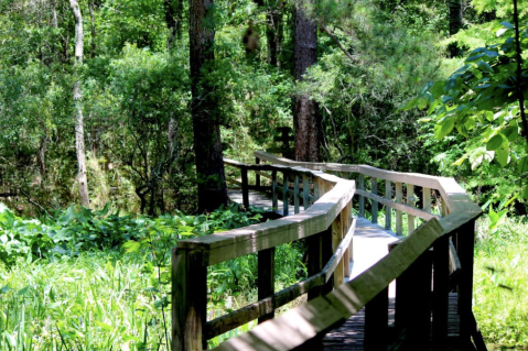 Get Lost In This Beautiful 400-Acre Nature Preserve Farm Near New Orleans