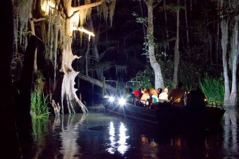 Experience The Swamps Of Louisiana Like Never Before With A Moonlight Swamp Tour