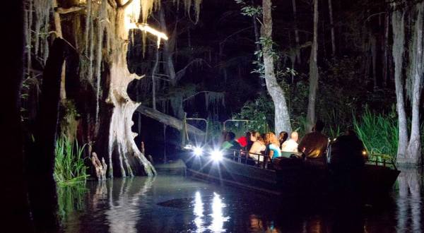 Experience The Swamps Of Louisiana Like Never Before With A Moonlight Swamp Tour
