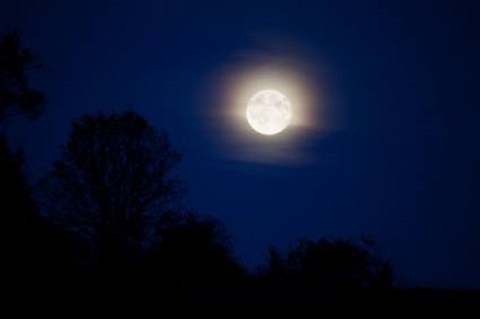 Explore Keystone State Park Near Pittsburgh After Dark During Full Moon Fever