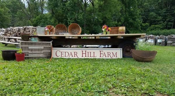 You Can Cut Your Own Flowers At The Festive Cedar Hill Farm In Pennsylvania