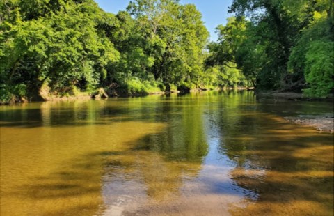 5 Refreshing Natural Pools You’ll Definitely Want To Visit This Summer In Missouri