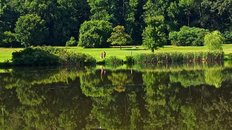 Beautiful Bellevue State Park May Be The Best Place For A Picnic In Delaware