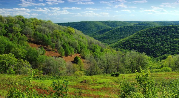 The Unique, Out-Of-The-Way Wild Area In Pennsylvania That’s Always Worth A Visit