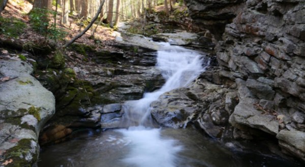 7 Incredible Natural Wonders In Pennsylvania That You Can Witness For Free