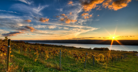 New York's Dreamy Atwater Vineyards Has A Prime Spot Along The Seneca Lake Wine Trail