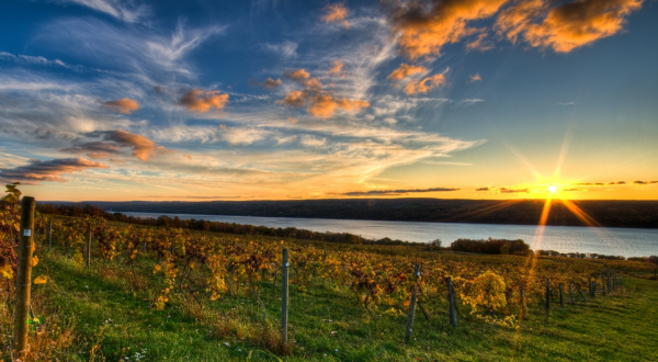 New York’s Dreamy Atwater Vineyards Has A Prime Spot Along The Seneca Lake Wine Trail