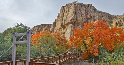 Take A Suspension Bridge Hike Through Boyce Thompson Arboretum, A 392-Acre Botanical Garden In Arizona
