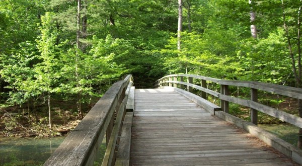 Take An Easy Loop Trail Past Some Of The Prettiest Scenery In Arkansas On Hunt’s Loop Trail