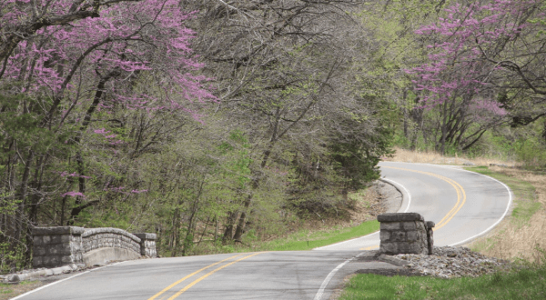 Take These 10 Country Roads In Iowa For An Unforgettable Scenic Drive