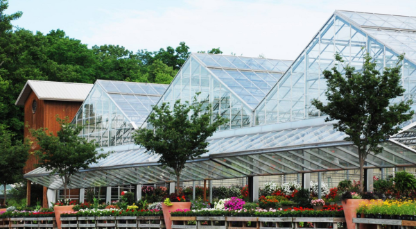 The Largest Butterfly House In Kentucky Is A Magical Way To Spend An Afternoon