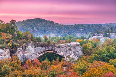 7 Incredible Natural Wonders In Kentucky That You Can Witness For Free