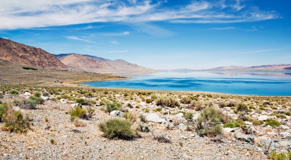 Every Summer, Thousands Of Spiders Take Over Walker Lake In Nevada And It’s A Creepy Sight