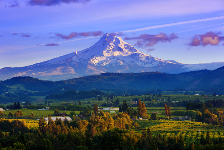 Oregon banner image