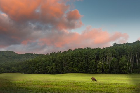 The Cataloochee Valley In North Carolina Is One Of The Most Remote Parts Of The Great Smoky Mountains National Park