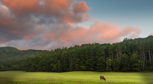 The Cataloochee Valley In North Carolina Is One Of The Most Remote Parts Of The Great Smoky Mountains National Park