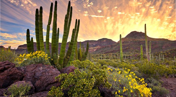 The One National Parks In Arizona That Every True Arizonan Should Visit At Least Once