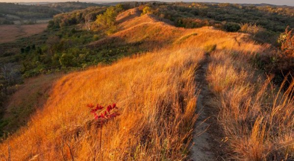 7 Incredible Natural Wonders In Iowa That You Can Witness For Free