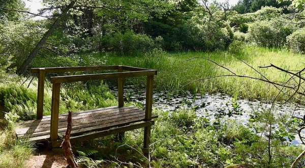 The Josephine Newman Audubon Sanctuary In Maine Offers 2.7 Miles Of Hidden Gem Nature Trails