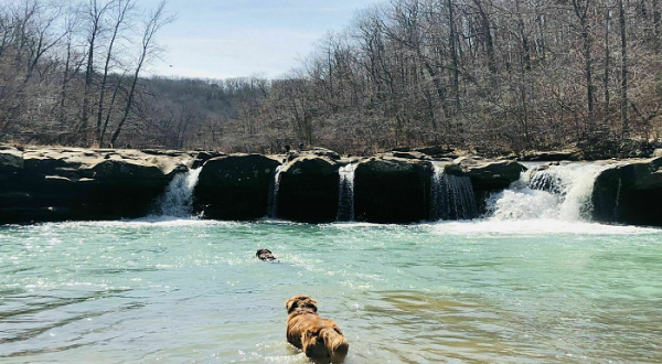 You’ll Want To Spend The Entire Day At The Gorgeous Natural Pool In Arkansas’ Kings River Falls Natural Area