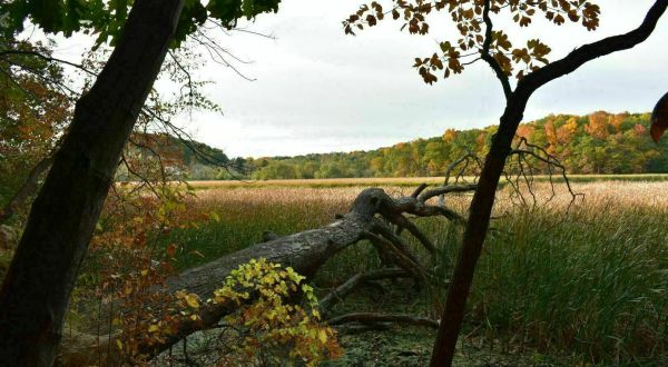Explore New York’s Old Rifle Range Trail For A Scenic Hike Through The Forest